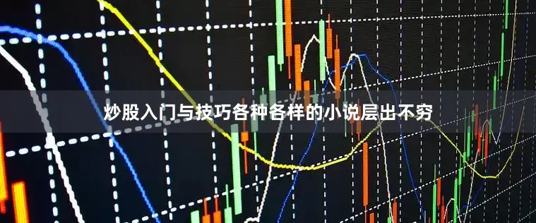 炒股入门与技巧各种各样的小说层出不穷