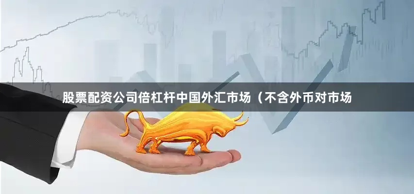 股票配资公司倍杠杆中国外汇市场（不含外币对市场